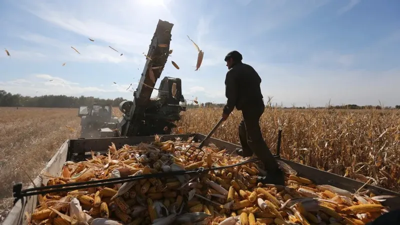 Қазақстанда агроөнеркәсіп кешенін несиелеу мүмкіндіктерін кеңейту жоспарлануда