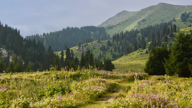 "Алтын-Емел" ұлттық паркі маңындағы қоқыс мәселесі: аумақ толық тазартылды