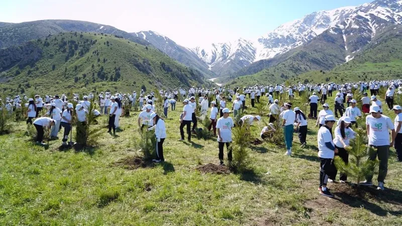 В Туркестанской области в рамках программы "Taza Qazaqstan" за один день посадили 20 тысяч деревьев