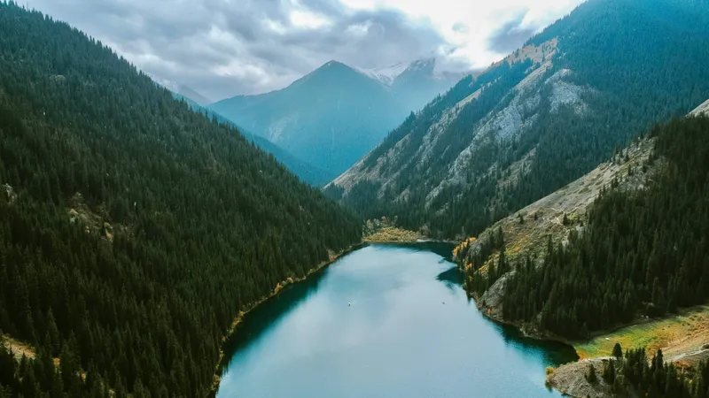 Көлсайда туристік автобус таудан құлап кетті