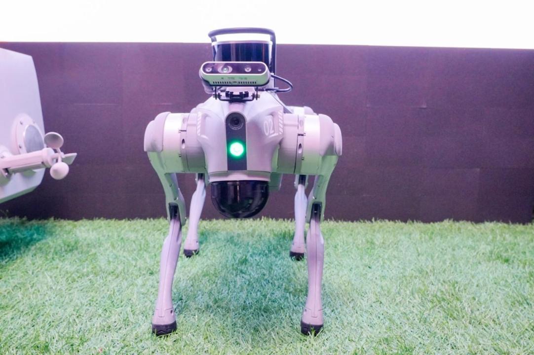 Digital Nauryz: елордада Наурыз мейрамы қалай тойланып жатыр