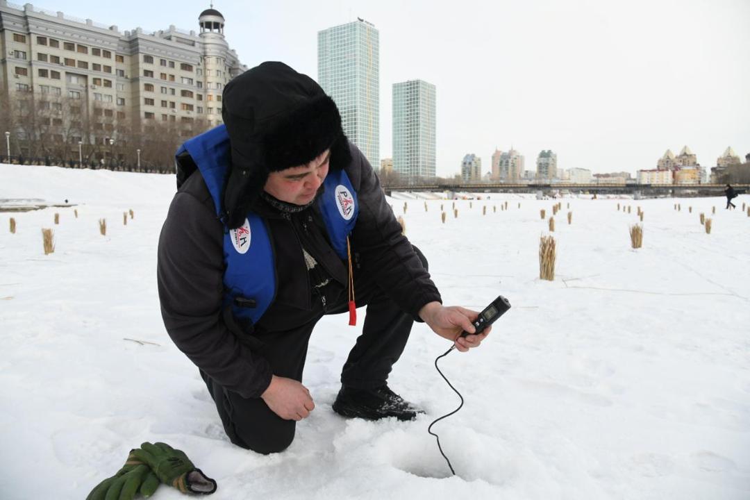 Работы по сохранению биоразнообразия в реке Есиль проводят в Астане