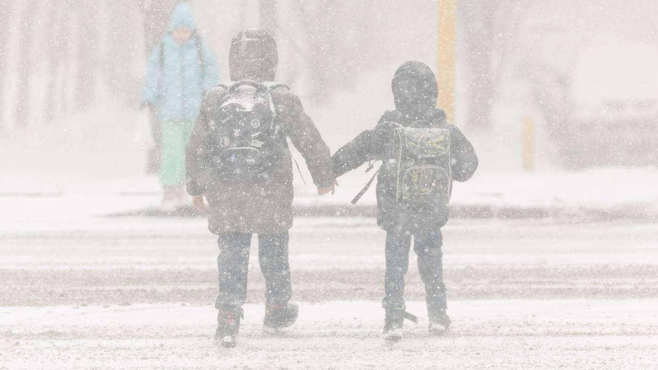 Школьники и учащиеся 1-2 курсов колледжей будут учиться онлайн в Астане