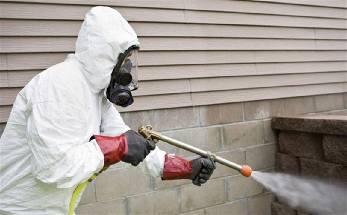 В Астане началась весенняя борьба с грызунами